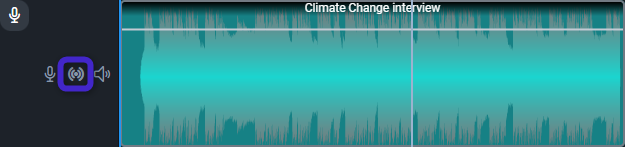 Audio_tracks.png