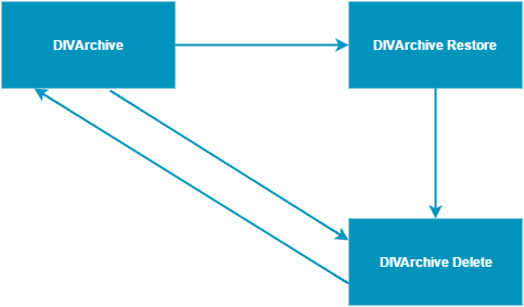 diva-archive-triangle.png