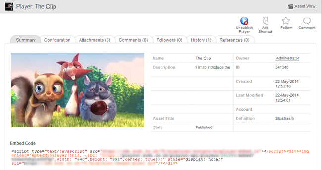player_instance_details.png