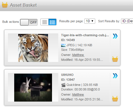 accessing-asset-basket-step3.png