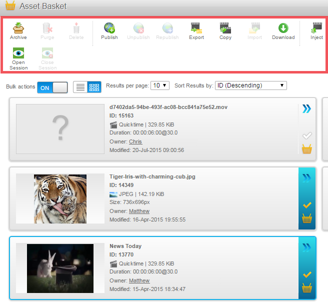 asset-basket-bulk-using-bulk-actions6.png
