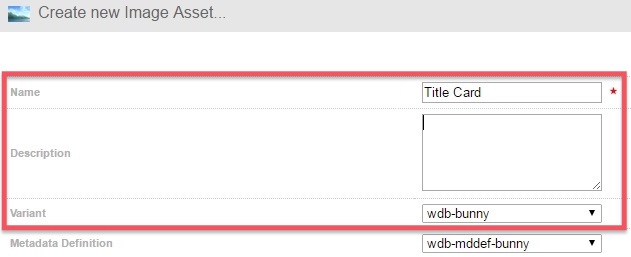creating-an-image-asset-step3.jpg