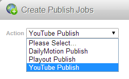 publish_aciton_type.png