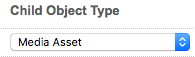adding_asset_to_hierarchy3.png