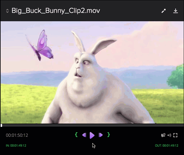 playback.gif
