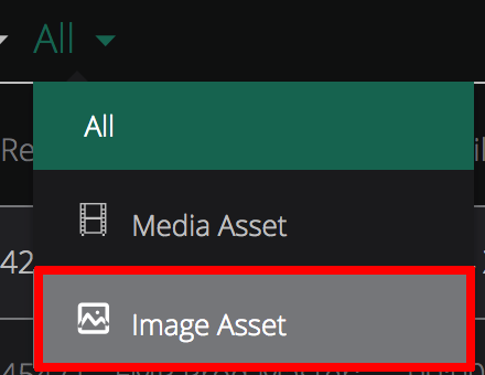 reviewer_reviewing_an_image_asset_step1.png