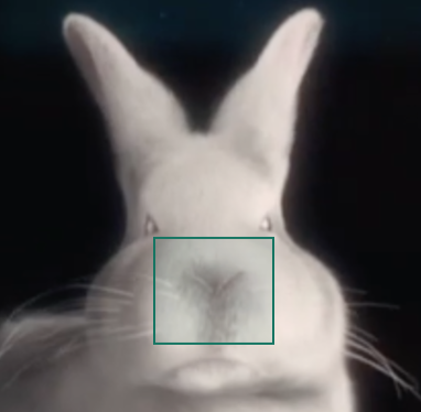 reviewer_image_review_annotating_step2.png